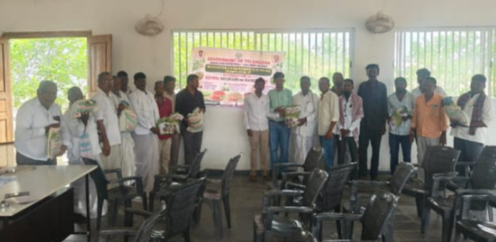 Sarpanch distributed free seeds.