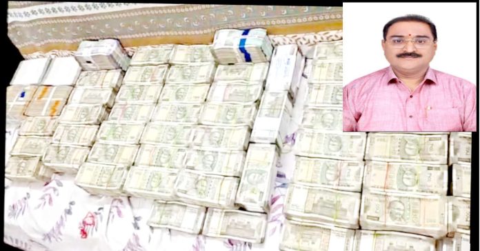 Another corrupt 'anaconda' caught by the ACB.