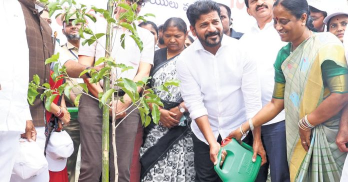 వనమే మనం..