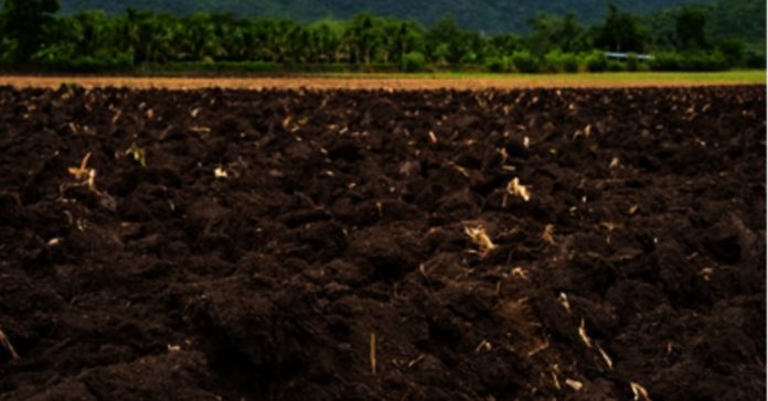 The Lands of the Underprivileged Are the Target