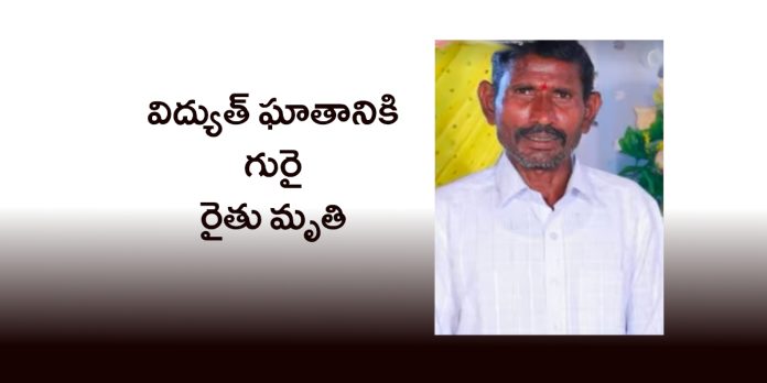 Farmer dies of electrocution
