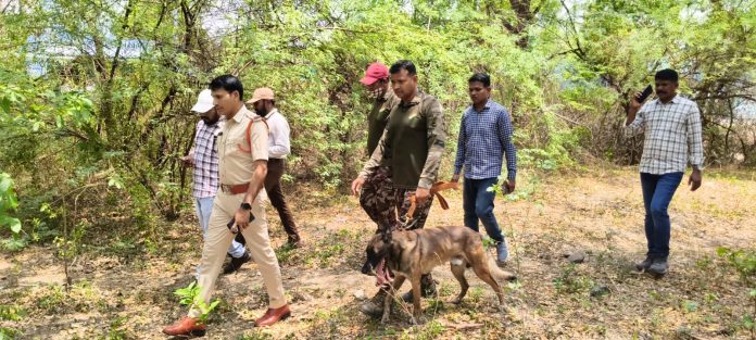 రామకృష్ణాపూర్లో పోలీసుల విస్తృత తనిఖీలు