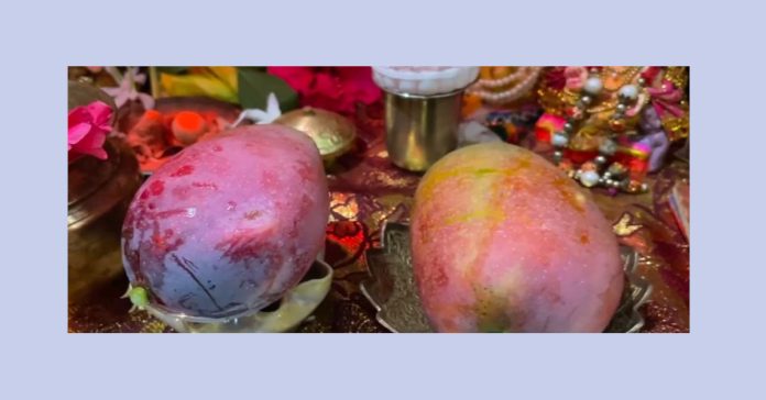 ఈ మామిడి పండు చాలా కాస్ట్లీ గురూ..!