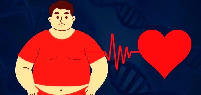 Premature aging of the heart