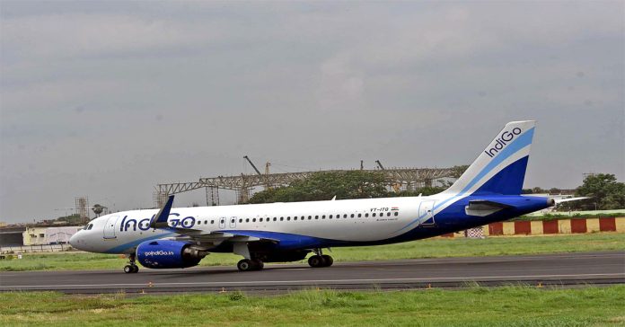 Bird hits Indigo flight