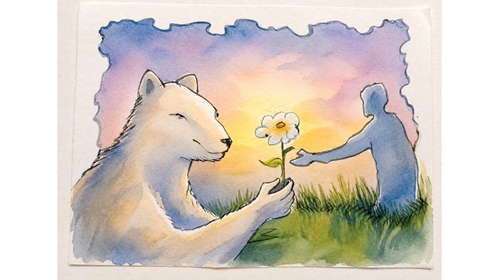the bear