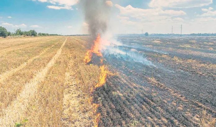 Burning of crop waste