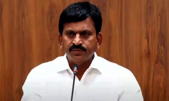 ప్రభుత్వ భూములను కాజేసే వారిపై ఉక్కుపాదం