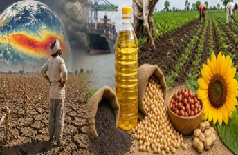 ఎల్నినో ప్రభావం…వంటనూనెల సంక్షోభం