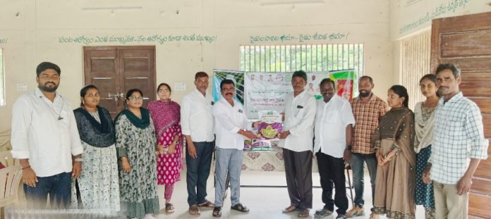 Contingency Planning Seed Fair
