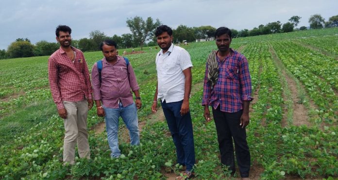 ఖరీఫ్ పంటలను పరిశీలించిన నాగుల్గావ్ క్లస్టర్ ఎఈఓ