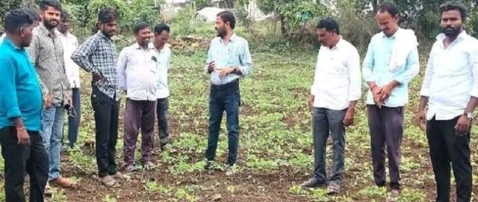 పంటలను రక్షించే మార్గాలపై రైతులకు అవగాహన