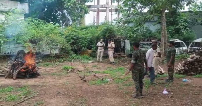 చిరుత పులి కళేబరానికి అంతక్రియలు