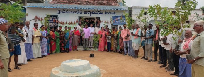 లింగంపల్లిలో మొక్కలు పంపిణీ చేసిన సర్పంచ్