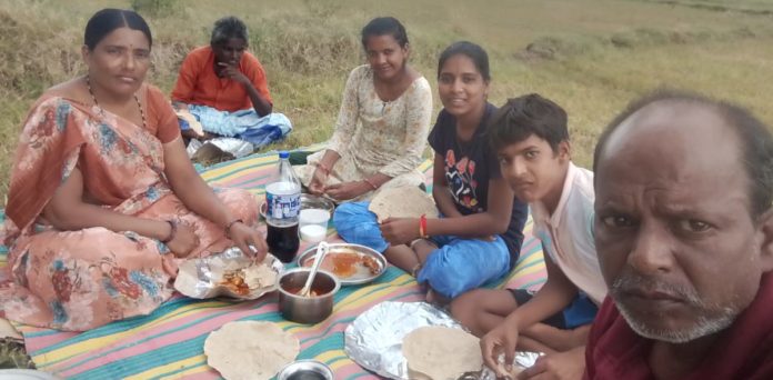 ఘనంగా వన మహోత్సవం