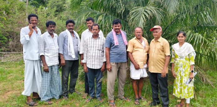 దేవునిగూడలో పామాయిల్ సాగుపై అవగాహన