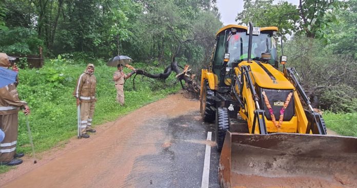 Massive tree collapses on Chintaguda-Bommana road.