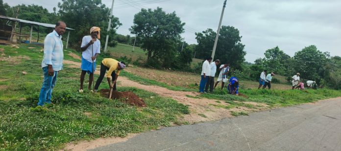 రోడ్ సైడ్ ప్లాంటేషన్ గుంతలను పరిశీలించిన ఎంపీడీఓ