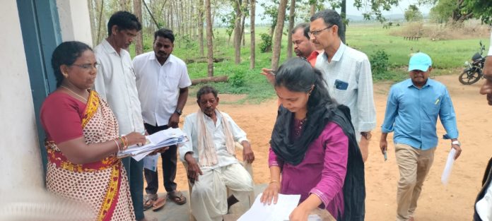 Inspection of the enumeration form digitization process