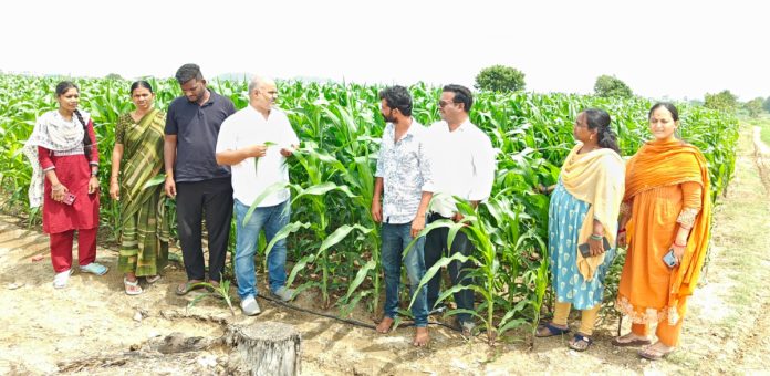 పెర్కిట్ లో వ్యవసాయ అధికారుల క్షేత్ర పర్యటన