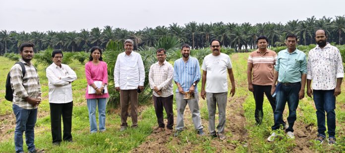 ఆయిల్ ఫామ్ సాగులో ఉత్తమ వ్యవసాయ పద్ధతుల అధ్యయనం