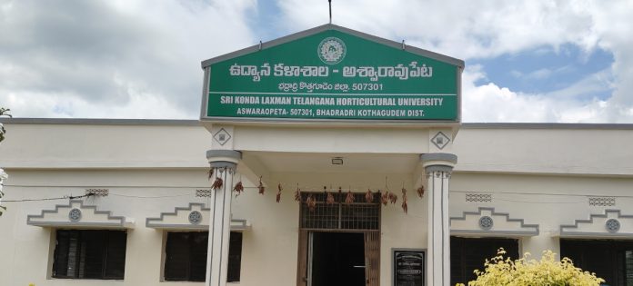 ఉద్యాన పంటలకు భద్రాద్రి చిరునామా