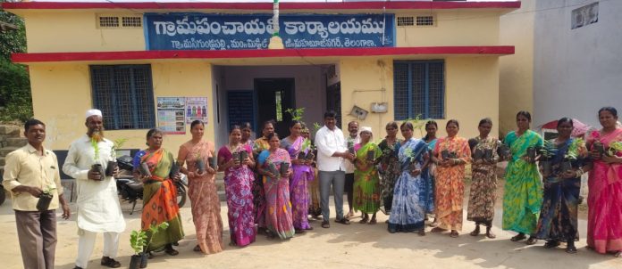 Fruit trees should be grown in every household: Sarpanch
