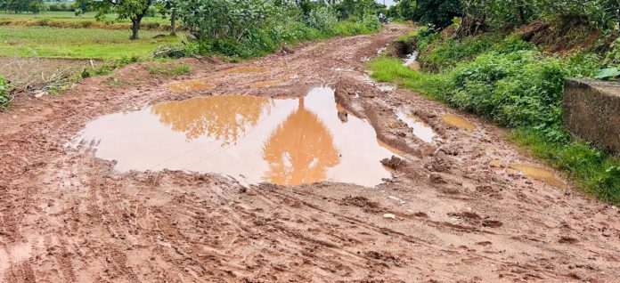 Ansanpalli-Gorlavidu road is a muddy mess.
