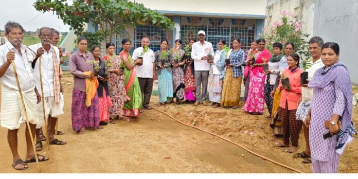 Let us protect the environment by planting saplings: Sarpanch