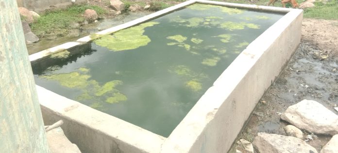 పాకర పేరుకుపోయిన పశువుల నీటి తొట్టి