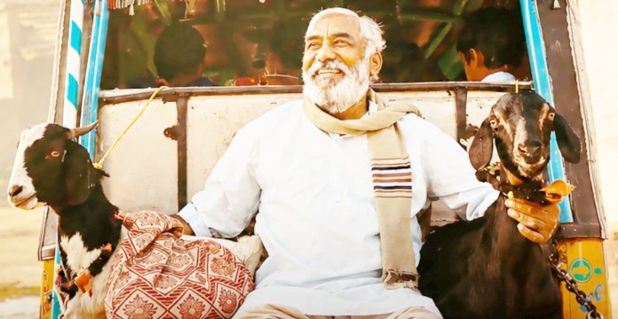 ‘అంగి జూడే.. దోతి రంగు జూడే`
