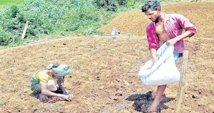 Crop loans for ROFR lands