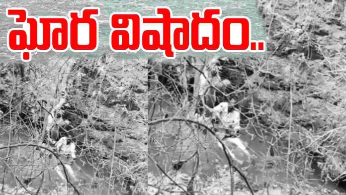 పిల్లలతో కలిసి బావిలోకి దూకిన తల్లి..చెట్టుకొమ్మను పట్టుకుని ప్రాణాలు కాపాడుకున్న కుమారుడు