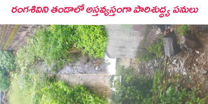 అస్తవ్యస్తంగా పారిశుద్ధ్య పనులు