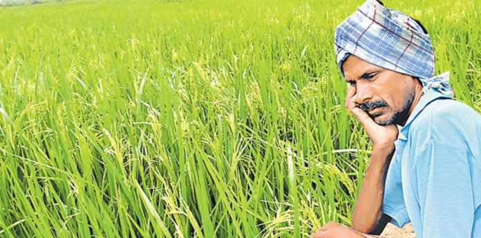 పీఎం కిసాన్ కొందరికేనా.?