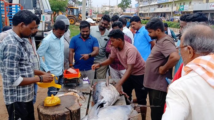 Sea fish sales