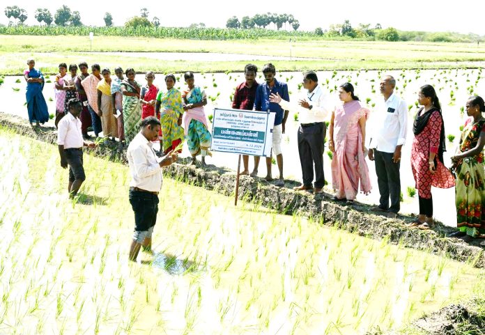 ‘ఆత్మ’ శుద్ధిలేదు