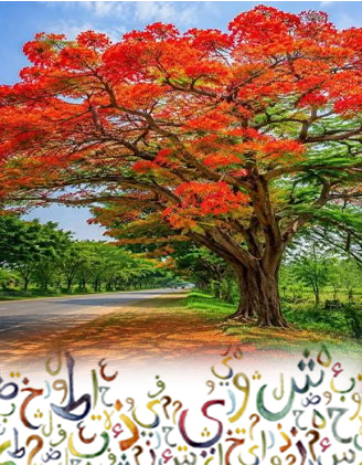 గుల్మొహర్