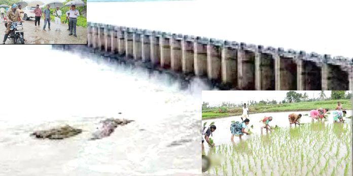 జలకళ