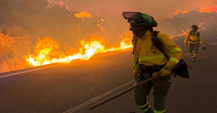 Massive wildfire in southern Spain