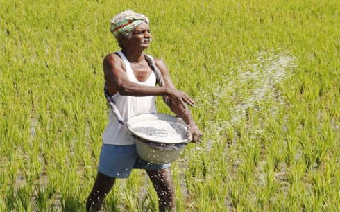 ఎరువుల ధరలు పైపైకి..!