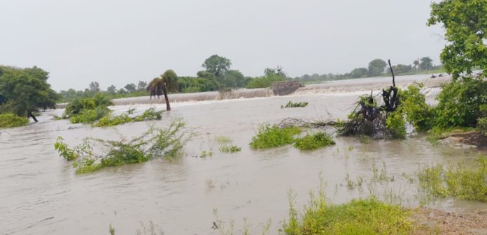 పొంగి పొర్లుతున్న చెరువులు, వాగులు