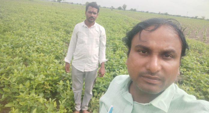 AEO inspected the crops in the field.