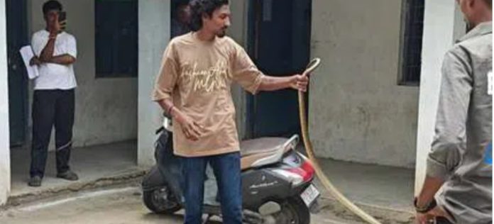 ఎమ్మార్వో కార్యాలయంలో పాము కలకలం