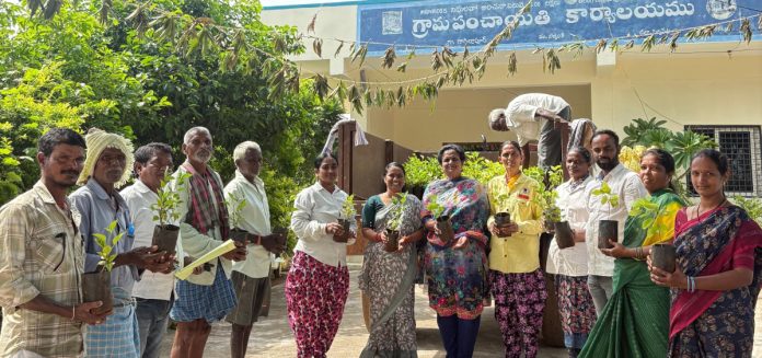 మొక్కలు నాటి సంరక్షించాలి: సర్పంచ్