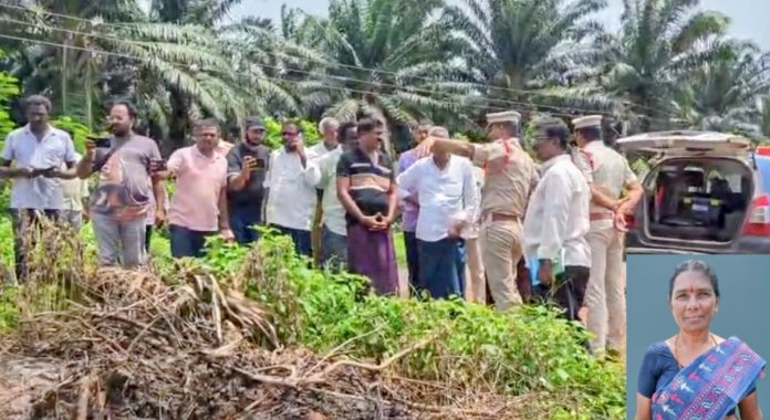 Mother-in-law brutally murdered by son-in-law