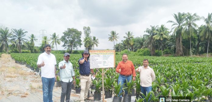 Costa Rican experts visited the Oilfed nursery.