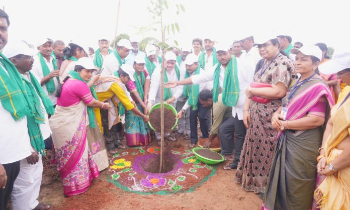 మనం నాటే మొక్క
భవిష్యత్ తరాలకు మేలు