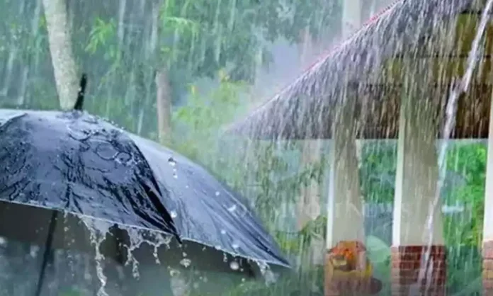 నేడు ఈ జిల్లాల్లో వర్షాలు