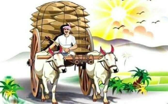 ఎడ్ల దుఃఖం